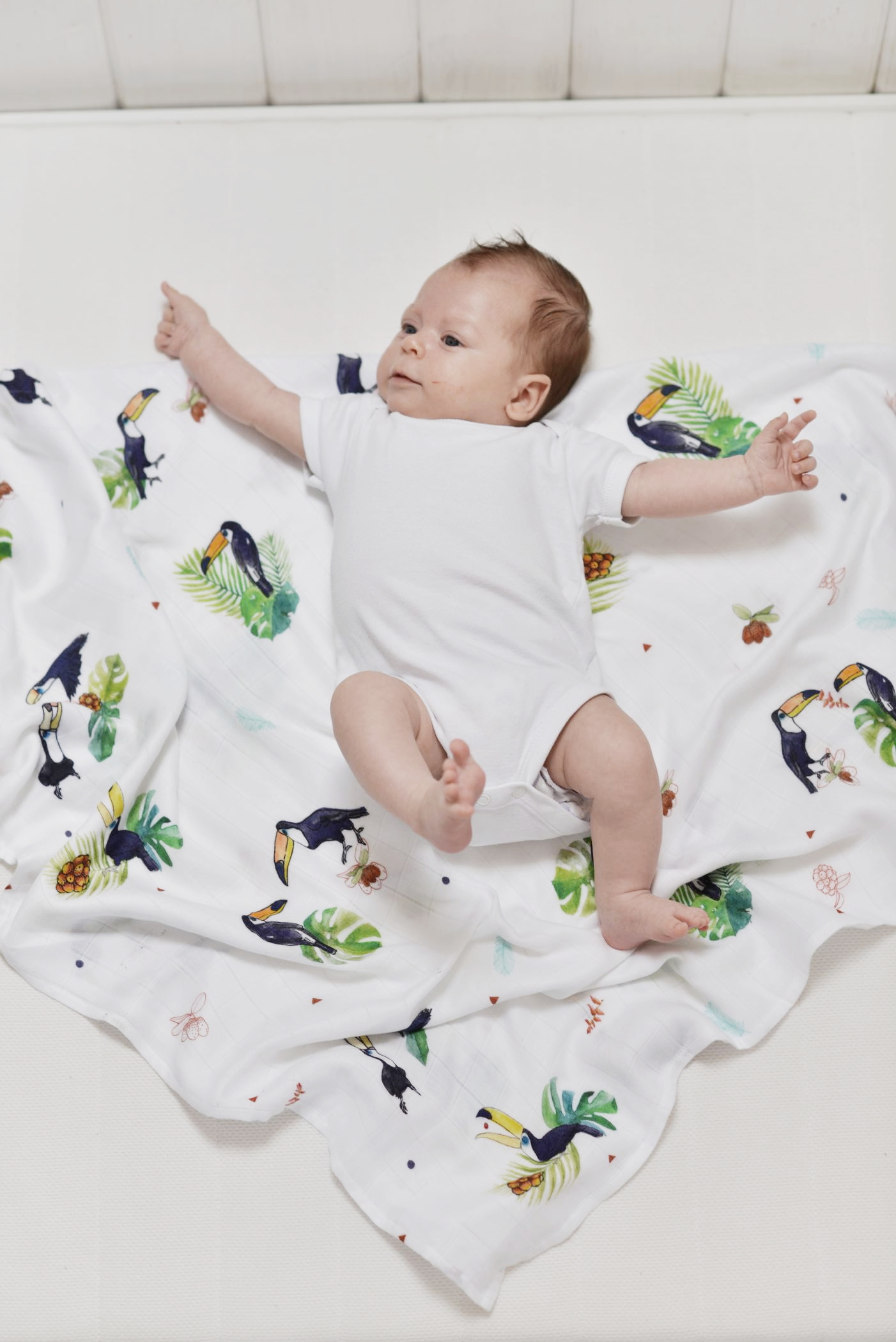toucan_swaddle