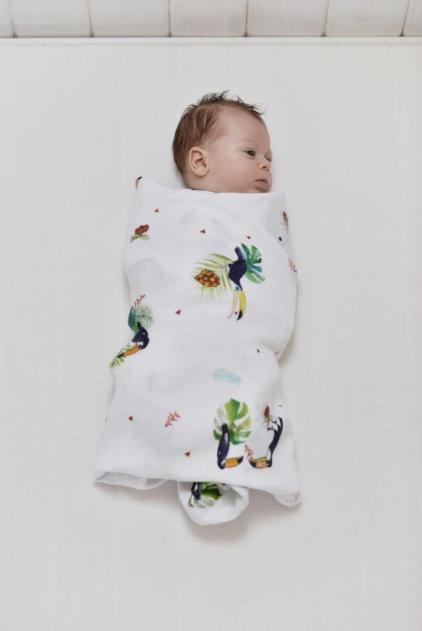 Poofi tropical swaddle bamboo toucans