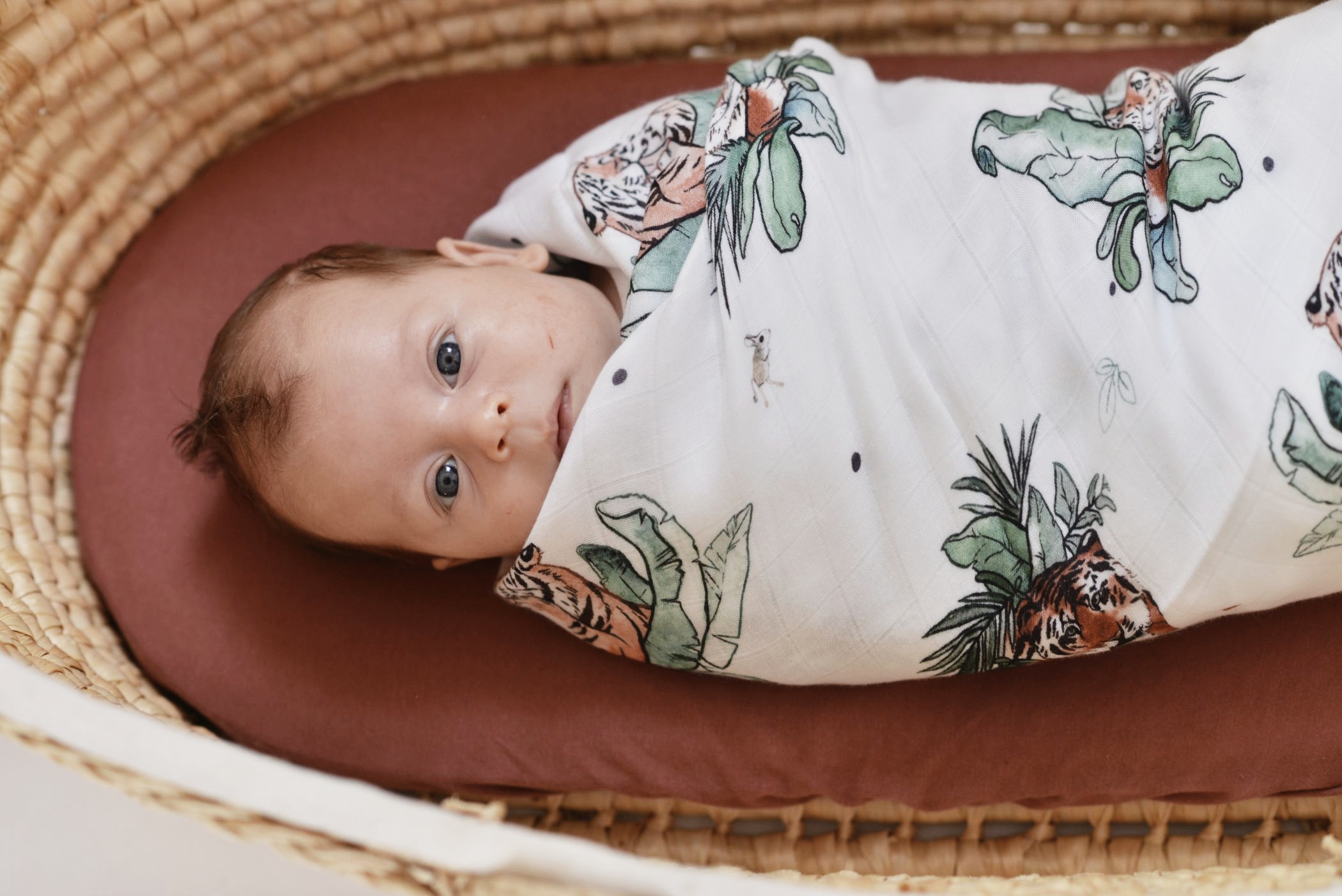 Poofi tropical swaddle bamboo tigers